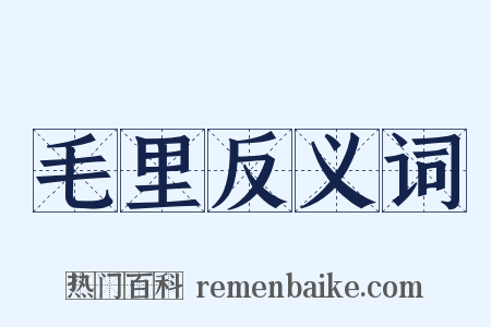 毛里反义词是什么意思的图片